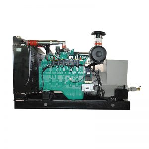 Cummins Gas Genset 01